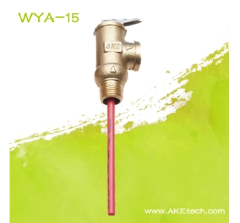 WYA-15 AKE温度压力安全阀四分