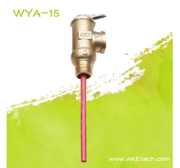 WYA-15 AKE Temperature and Pressure Safety Valve