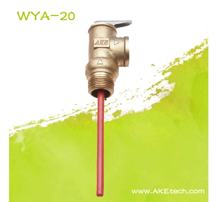 WYA-20 AKE温度压力安全阀六分
