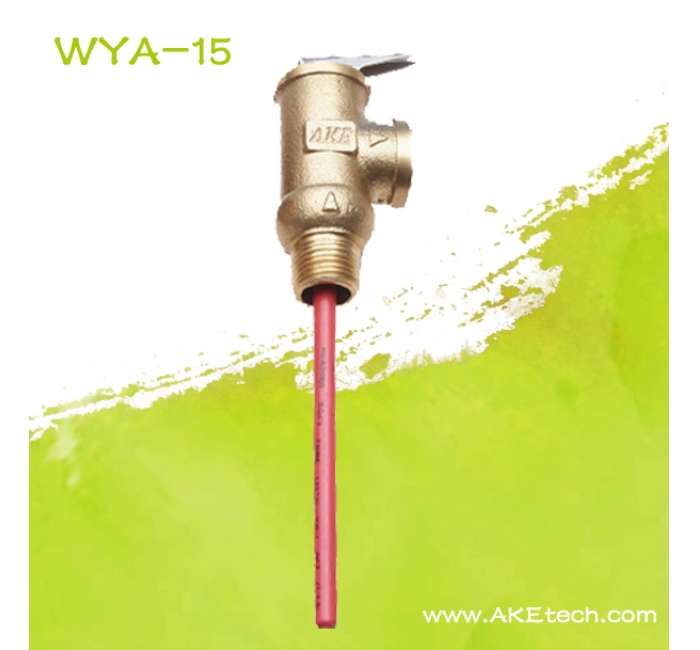 WYA-15 AKE温度压力安全阀四分